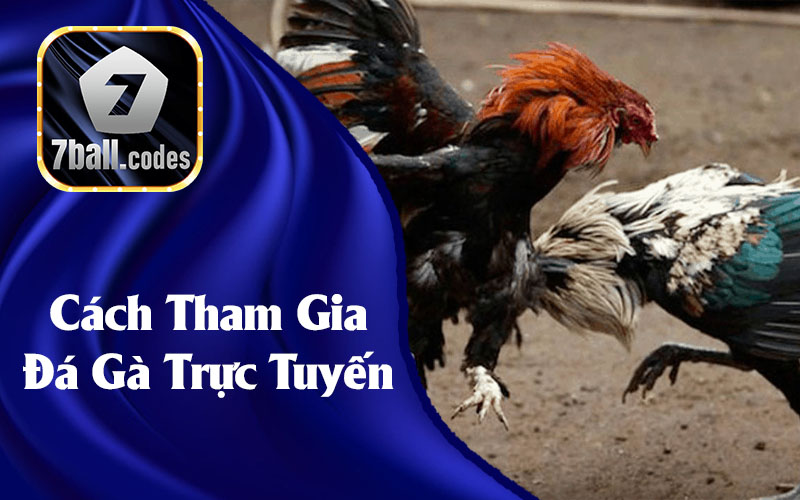 Cách Tham Gia Đá Gà Trực Tuyến