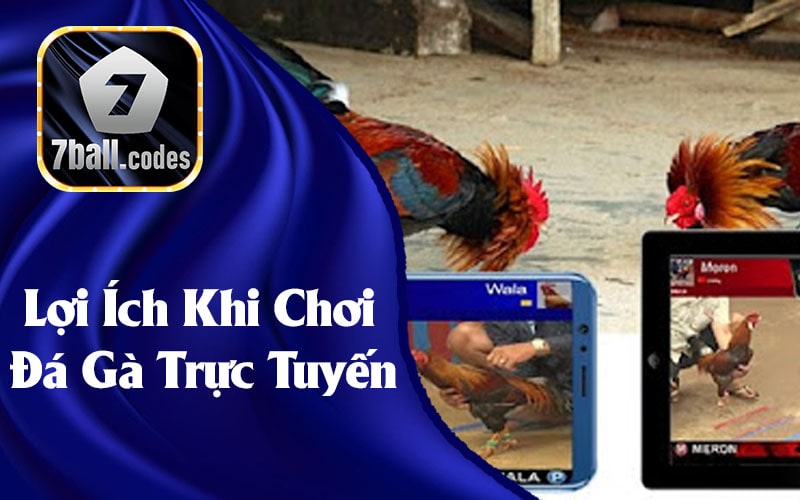 Lợi Ích Khi Chơi Đá Gà Trực Tuyến