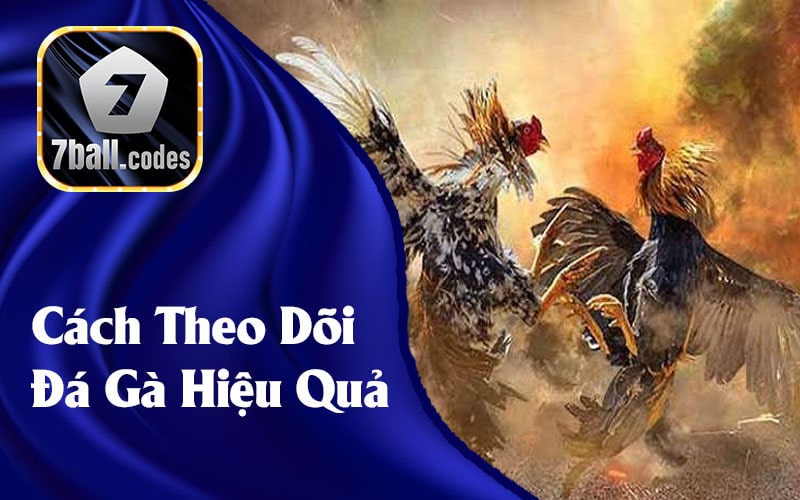 Cách Theo Dõi Đá Gà Hiệu Quả