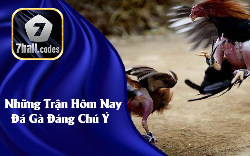 Những Trận Hôm Nay Đá Gà Đáng Chú Ý