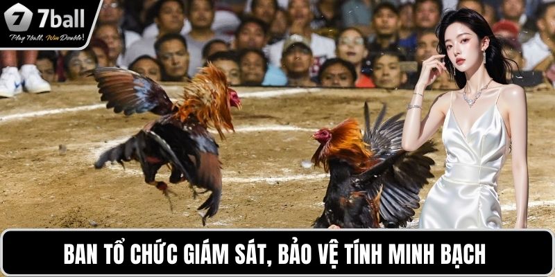 Ban tổ chức giám sát, bảo vệ tính minh bạch 