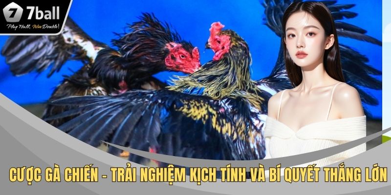 cược gà chiến