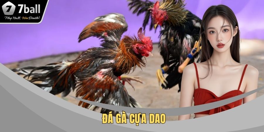 đá gà cựa dao