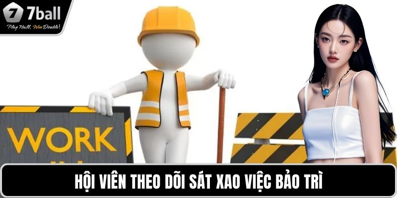 Bảo trì 7BALL Hội viên theo dõi sát xao việc bảo trì