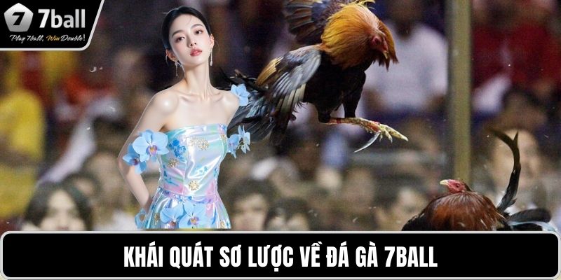 Đá gà 7BALL Khái quát sơ lược về đá gà 7BALL