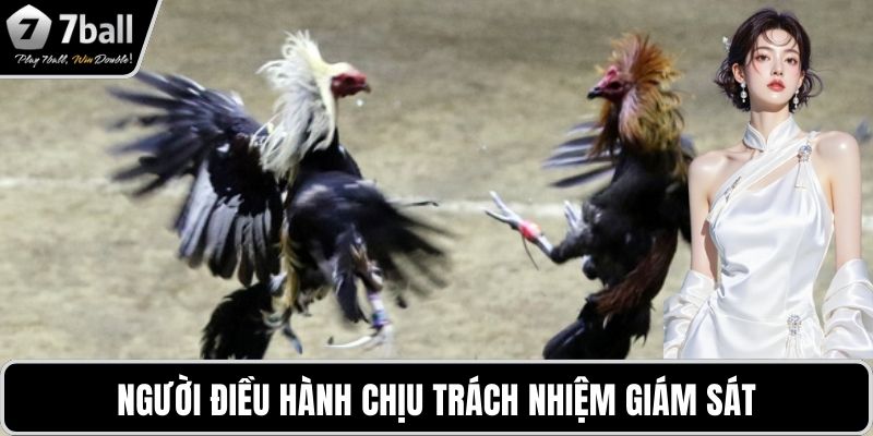 Người điều hành chịu trách nhiệm giám sát