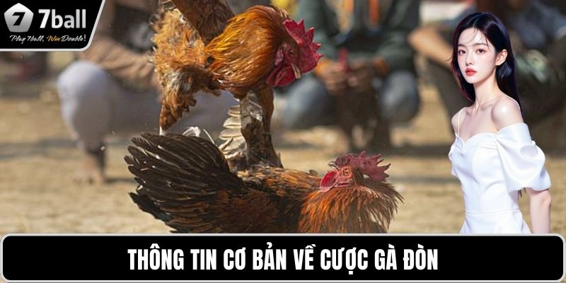 Thông tin cơ bản về cược gà đòn 